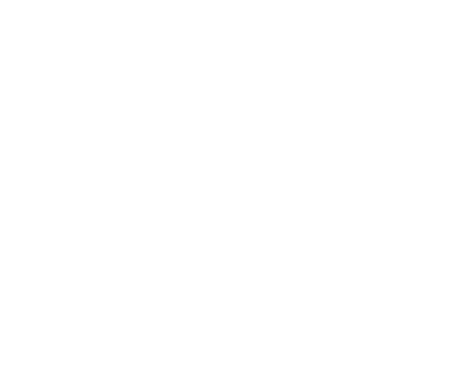 Clean Point Nordic